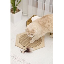Paws & Whiskers Grebalica za mačke, Bež Cene