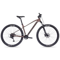 Rock machine 70 29" Cene