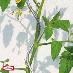BELLISSA Opora za paradižnike (dolžina: 180 cm, jeklo, srebrna) Cene