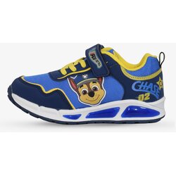 BDS paw patrol Cene