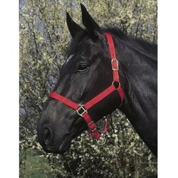 Riding World Ular za konje crveni 3full Cene