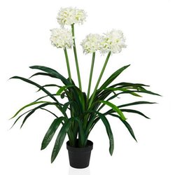 MID.YOU Umetna Rastlina Agapanthus Cene