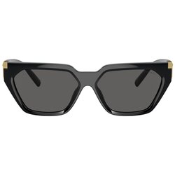 Tiffany TF4205U 8001S4 ONE SIZE (56) Črna/Siva Cene