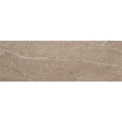Alaplana bodo mocca 20x60 zidna mat Cene