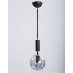 Squid Lighting črna/siva viseča svetilka s steklenim senčnikom ø 15 cm hector – Cene
