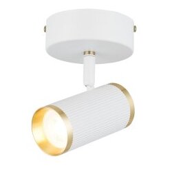 Opviq Luster Lume-71-11, O5.5, 11cm, IP20, Bijela Cijene