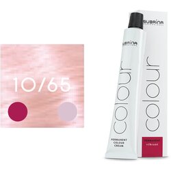 Subrina farba za kosu 10/65 new 100ML 14715 Cene