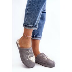 Kesi Women's Shiny Slippers Grey Geraja Cene