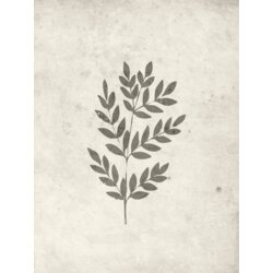Venture Home poster Spring Leaf 30 × 40 cm, bež Cijene