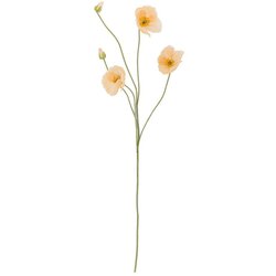 Bloomingville Umetna rastlina (višina 110 cm) Poppy – Cene