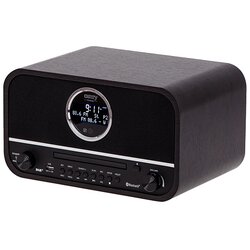 Camry Radio Camry CR 1182 Cene