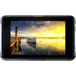 Atomos Shogun classic Cene
