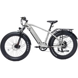 BODYWEL Potovalno električno kolo D6, debele pnevmatike, 48V 13,5Ah, sivo, (5000233873) Cene