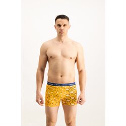 Frogies Men's boxers Zodiac Oven Cene