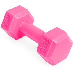 Modern Home ModernHome bučice za vježbanje A1 2x1kg roze Cijene