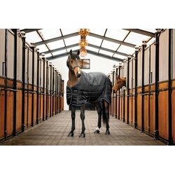 Horseware Ireland Pregrinjalo Horseware Easy-Layer Stable 100g, Black/Black & Silver - 145 cm Cene