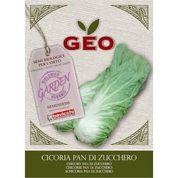 Bavicchi Bio listnata zelenjava "Pan Di Zucchero" Cene