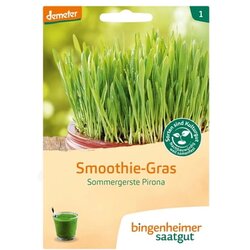 Bingenheimer Saatgut poletni ječmen Pirona "Smoothie-Grass" Cene