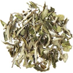 tea exclusive Bio Pai Mu Tan bijeli čaj - 100 g Cene