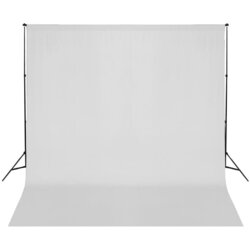 vidaXL pozadinski sustav s potporom 600 x 300 cm bijeli Cijene