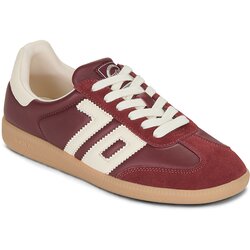 Back70 CLOUD Bordo Cene