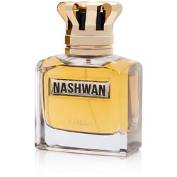 House Of Perfumes Nashwan parfumska voda 100 ml za moške Cene