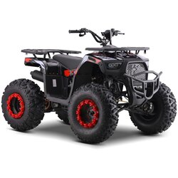 Quad na bencin MONSTER 200CC - rdeča Cene