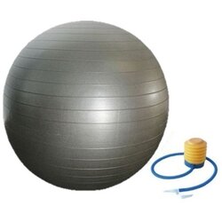 Lopta Za Pilates Ø 65 Cm Cene