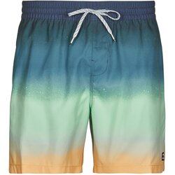 Billabong ALL DAY FADE LB Višebojna Cene