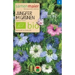 Samen Maier BIO črnika - mešanica Cene