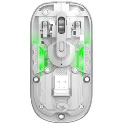 Gama-Group doo Marvo M808W transparent Cene