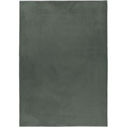 Ayyildiz Carpets Zelena pralna preproga 160x230 cm Pouffy – Cene