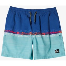 Quiksilver Boys' swimming shorts EVERYDAY WORDBLOCK Cijene