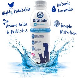 Macahl Animal Health oralade gi support tečna veterinarska dijeta za pse i mačke 500ml 5+1 gratis! Cene