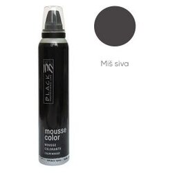 Kolor pjena Black Mousse Color Gr.Topo 200 ml – Miš siva Cene