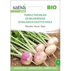 Sativa Bio majska repa "Purple Top Milan" Cene