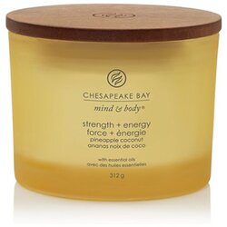 Chesapeake Bay Candle Mind & Body Strength & Energy mirisna svijeća I. 312 g Cene
