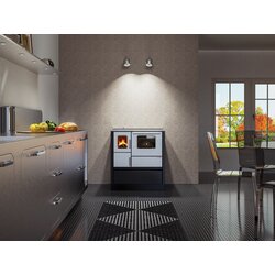 Alfa Plam ŠTEDNJAK ALFA INOX 75 CRNI, (8606009939901) Cijene