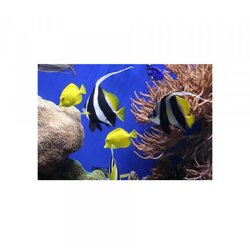Olimp Sport podloga za miša fellowes earth sea 5909301 Cene