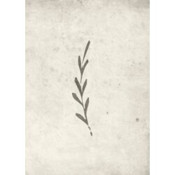 Venture Home poster Autumn Leaf 50 × 70 cm, bež Cijene