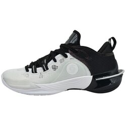 Peak Sport patike za košarku peak taichi flash 6 ET43807 white/black Cene