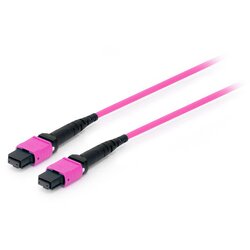 Equip 25555317 InfiniBand /fibre optic cable 3 m MTP Violet Cene