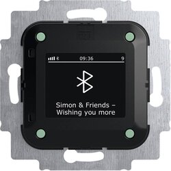 Busch-Jaeger Radio-réveil DAB+ z Bluetooth povezavo, (5000558617) Cene