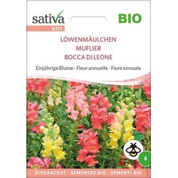 Sativa Enoletni cvet "odolin" Cene