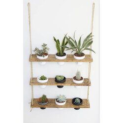 Woody Fashion Zidna polica GAR006 Cene