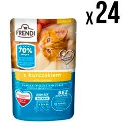 FRENDI kesica za mačke junior piletina 100g x24 komada ( 5883 ) Cene