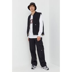 Dickies Hlače za muškarce, boja: crna Cijene