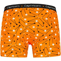 Frogies Men's boxers Zodiac Kozorog Cene
