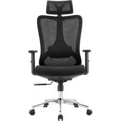 Modrulj M 225, ERGONOMSKA RADNA STOLICA, NASLON MESH, SEDIŠTE TAPAC. METALNA BAZA 5612 Cene