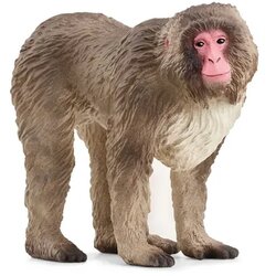 Schleich 14871 - Wild Life - rdečelični makak Cene